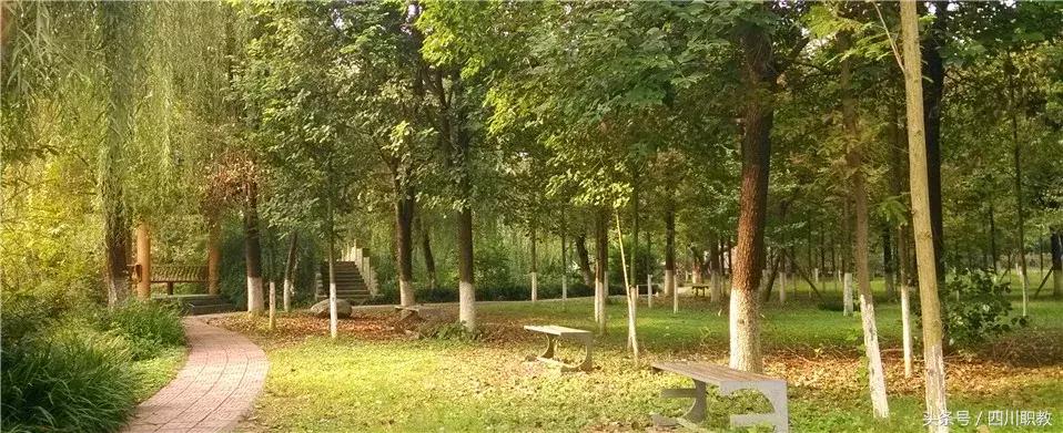 这是一所神奇的学校英文,这是一所神奇的学校