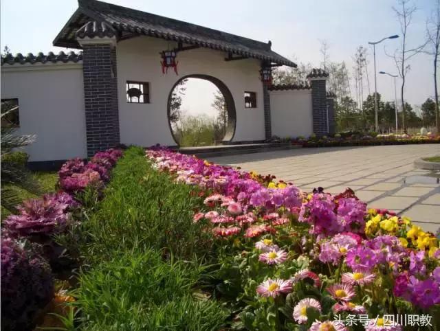 这是一所神奇的学校英文,这是一所神奇的学校