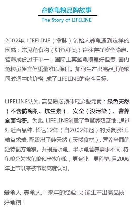 红腿陆龟的养殖方法,红腿陆龟应该怎么养