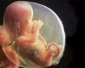 不用做B超也能知道：胎儿的头在哪，脚在哪！