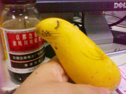 芒果有多少种品种图片,芒果有多少品种