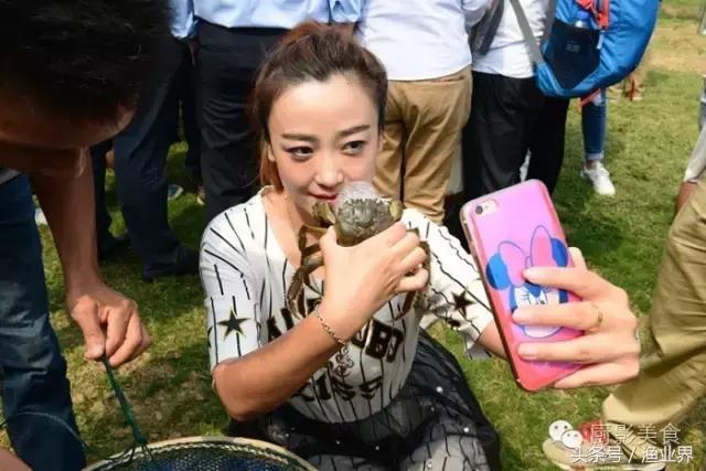 中国的螃蟹,螃蟹大赏的图片