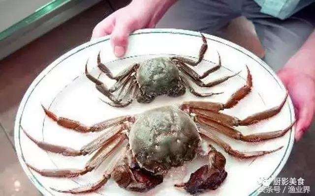 中国的螃蟹,螃蟹大赏的图片