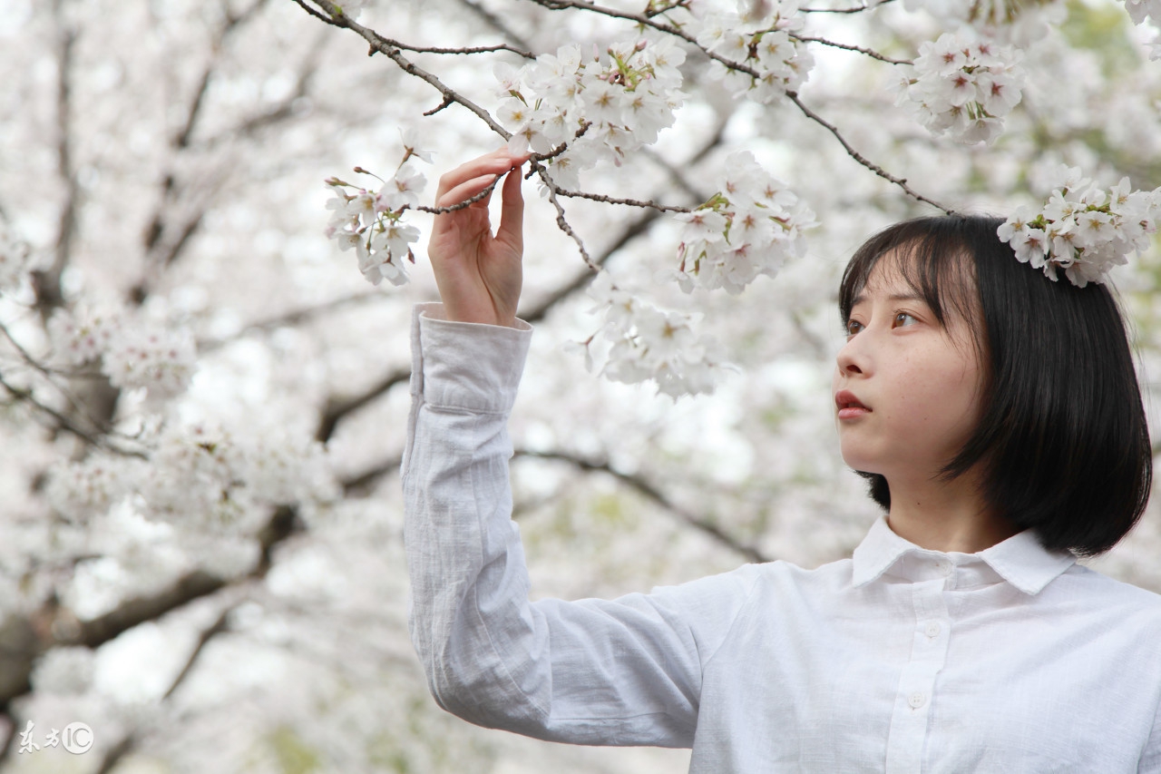 店铺淘客优势有哪些怎么去经营,店铺淘客新模式