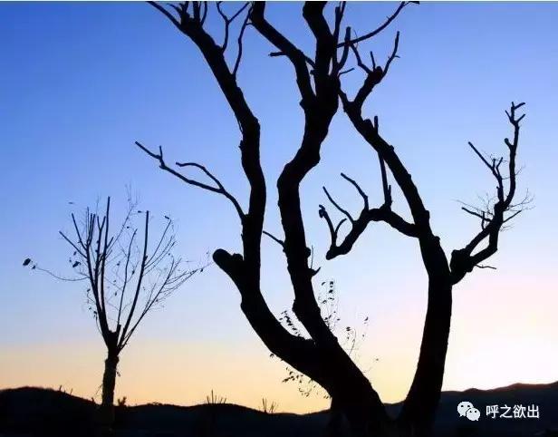 静谧时光随想,斑驳岁月斑斓生活