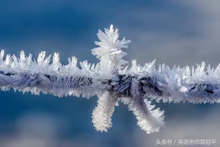 圣诞节英语会话,christmas圣诞节口语