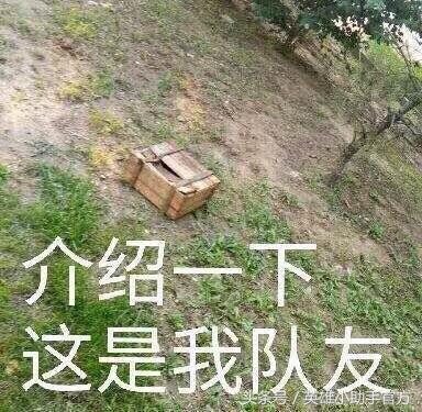 你连小裙子都还没有,可是盒子都开始有皮肤了!羞耻吗?