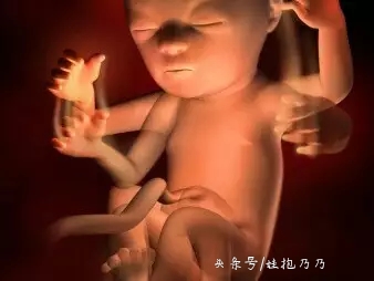 胎心看数值还是听声音,胎心值看胎儿到底准不准