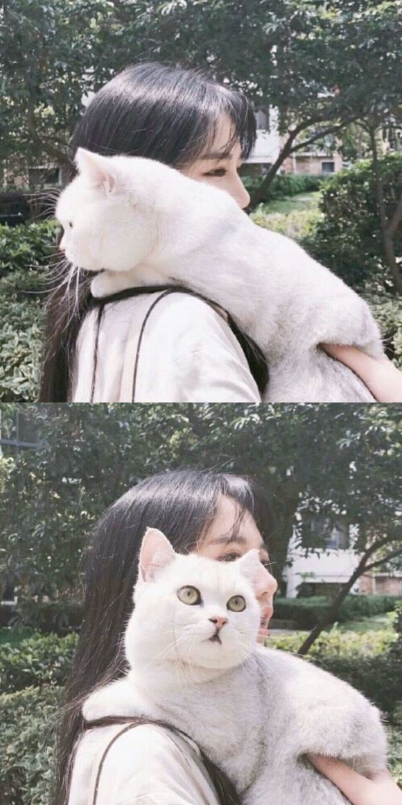 iphone唯美壁纸女神,苹果锁屏壁纸高清唯美美女