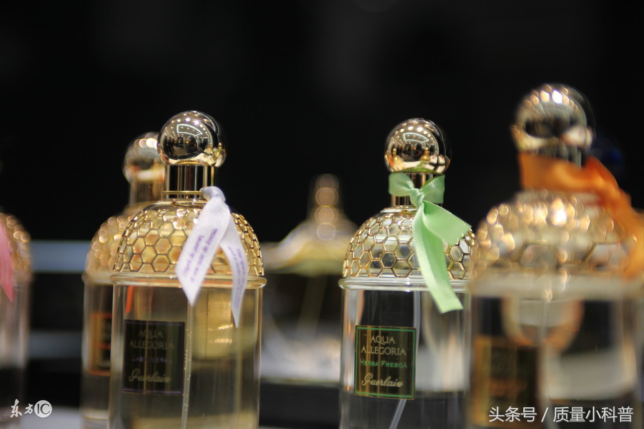 香水有毒类似的歌,香水有毒是低俗歌曲吗