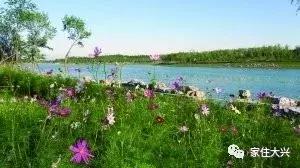 大兴旧宫的房子和瀛海哪个好一些,大兴旧宫瀛海和亦庄比较