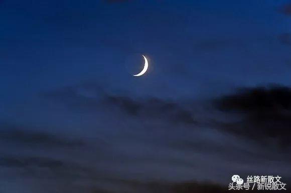 新疆散文的气质,关于赞美边疆建设者的散文