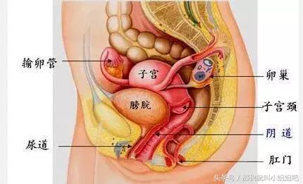 明明怀孕了,子宫里却是空的,为什么会这样?孩子去哪儿了?