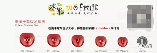 2月车厘子怎么挑选,夏季车厘子怎么选