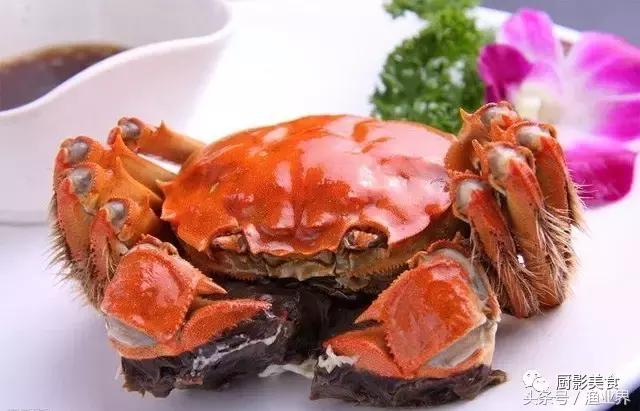 中国的螃蟹,螃蟹大赏的图片