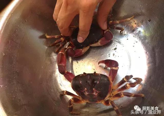 中国的螃蟹,螃蟹大赏的图片