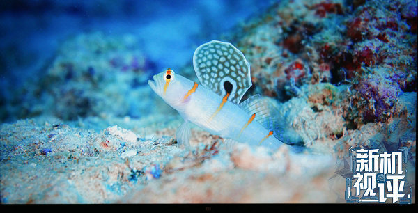 小米电视465寸体验,小米手机玩游戏卡得离谱