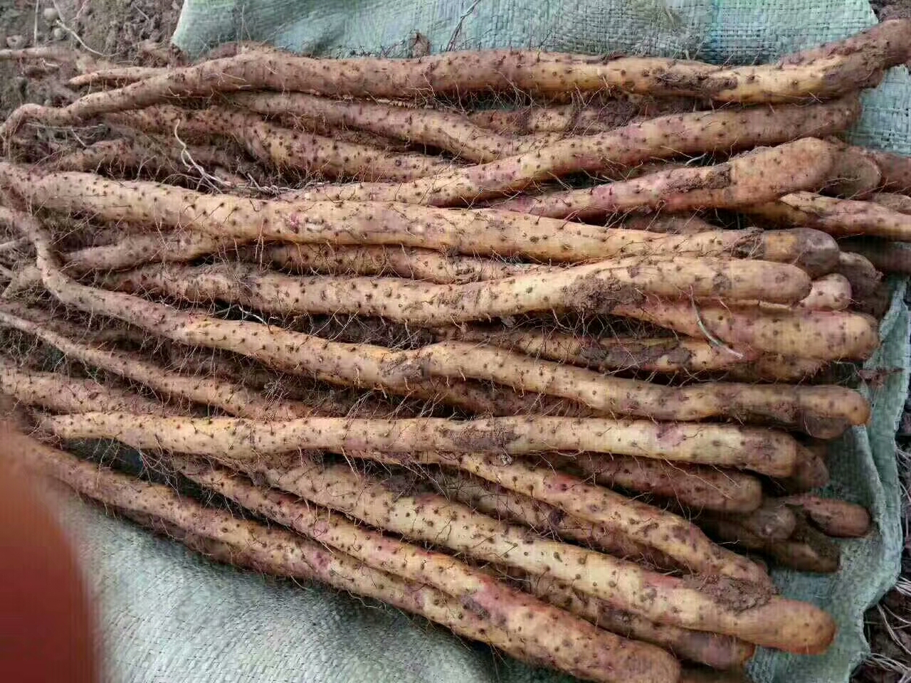 小本创业的春天来了吗,小本创业新思路