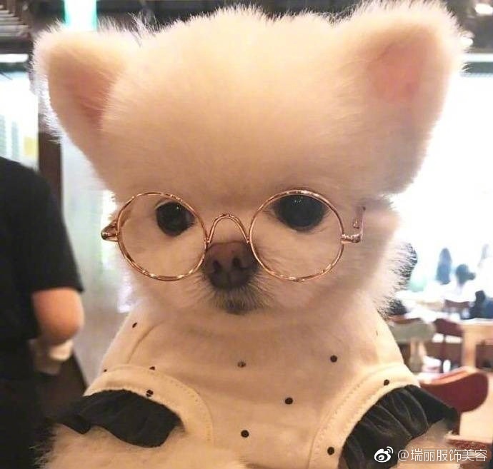 女子被风吹进河里 (风吹进钱塘江的女子)