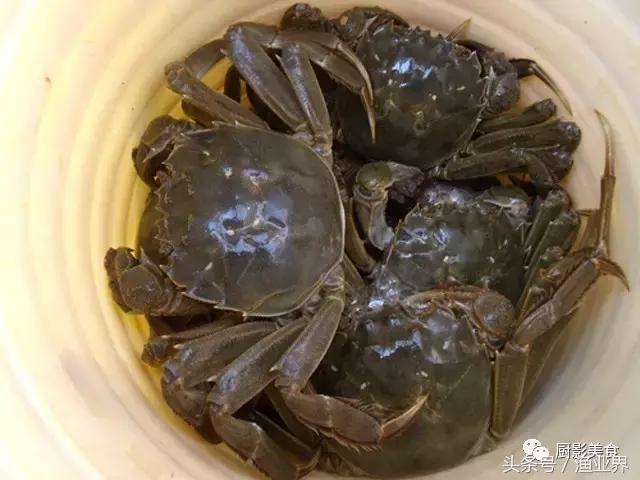中国的螃蟹,螃蟹大赏的图片