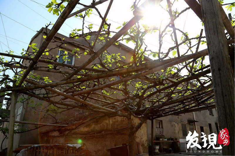 还没有爱上春江,那是因为你没来过这些地方