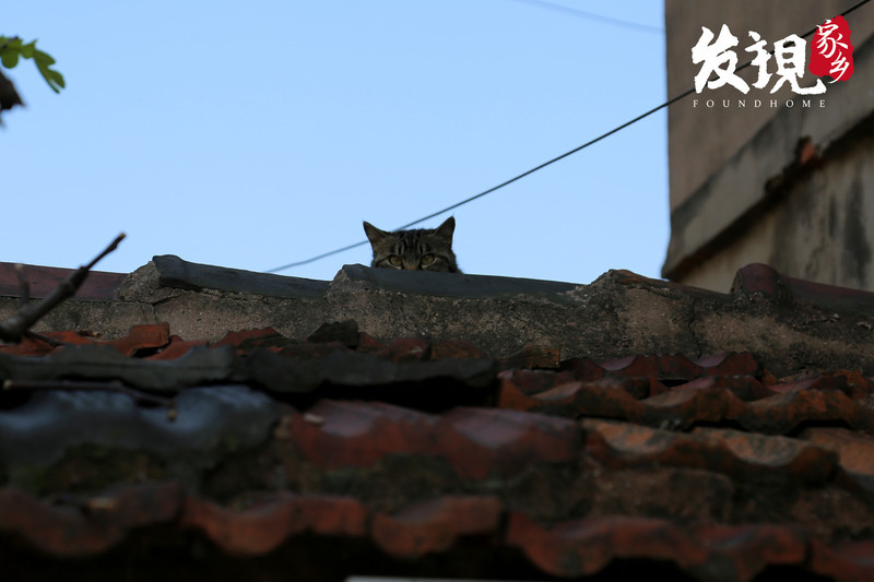 还没有爱上春江,那是因为你没来过这些地方