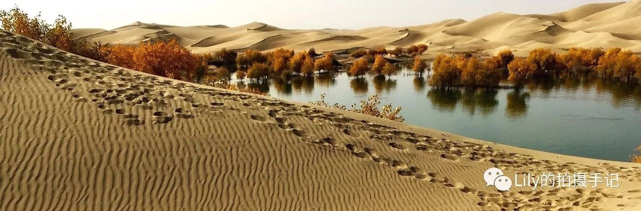 手机拍摄全景照片技巧大全,怎么用手机拍摄高清风景照片