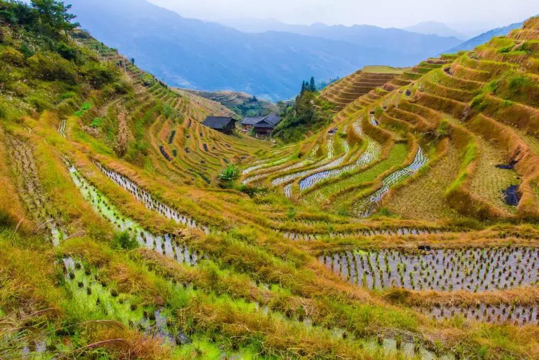 收藏一些自己喜欢的东西,收藏起来你一定用得到