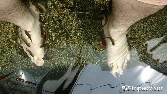 老少咸宜的吉隆坡夜生活指南，马来西亚的十里洋场究竟什么样？