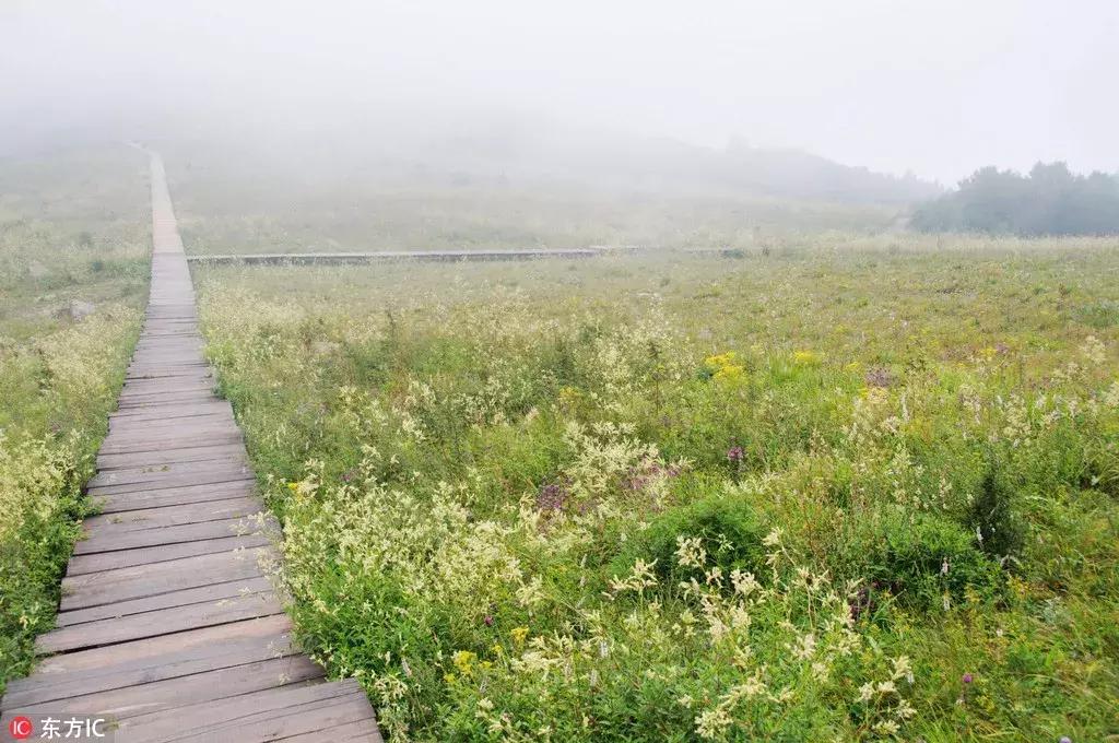 年底好消息来袭!大北京这些东西统统免费!还有精彩的活动等着你,不知道就亏大了!