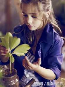 明年运气最好三大生肖,明年运势极佳万事都顺心的生肖