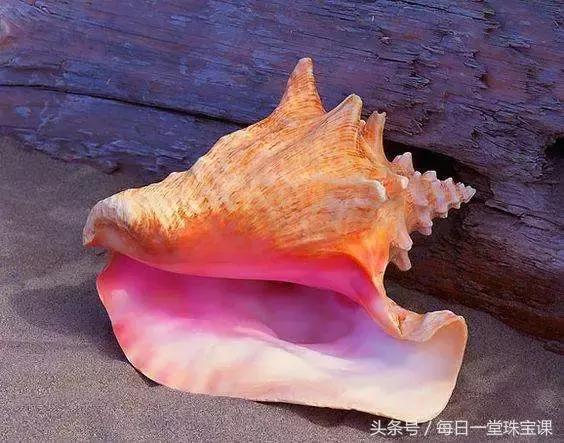 好看冷门的宝石,十大骗人的宝石