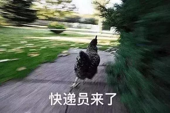 盘点2017年度那些最奇葩的新闻,盘点那些2019年的搞笑新闻