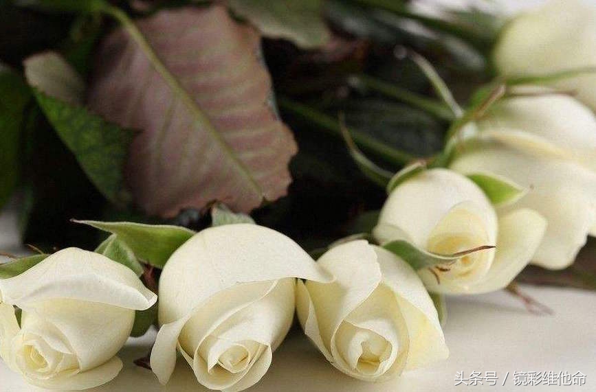 貌美不一定是美,貌美如花呢