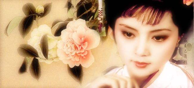 红楼梦中12金钗有没有袭人,红楼梦中12金钗指的是