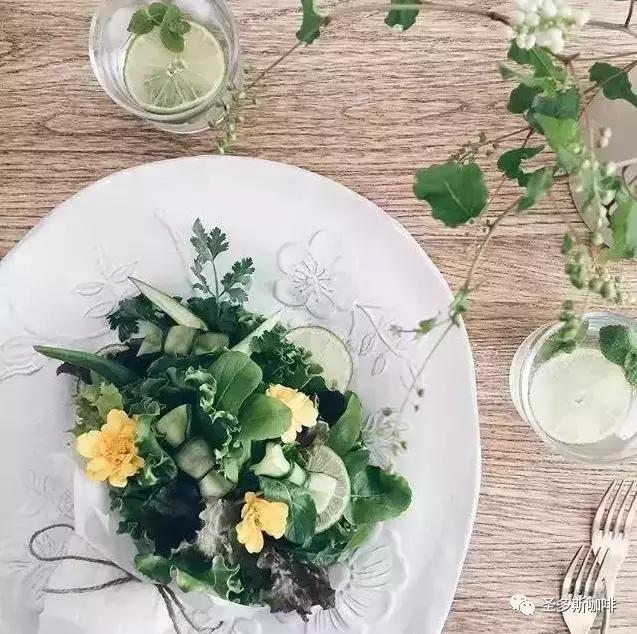 治愈系鲜花,最强治愈系