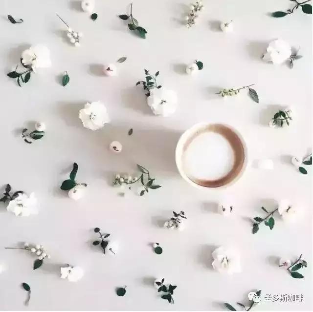 治愈系鲜花,最强治愈系