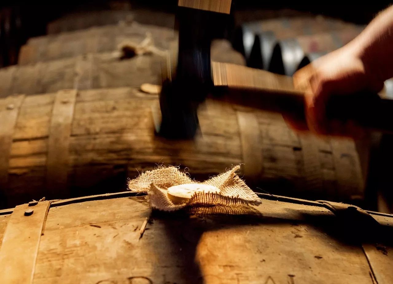 终极礼物,终极礼物宇宙之心