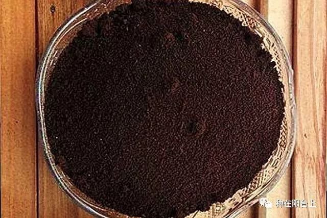 阳台的蔬菜长腻虫怎么办,盆栽蔬菜长虫了怎么办