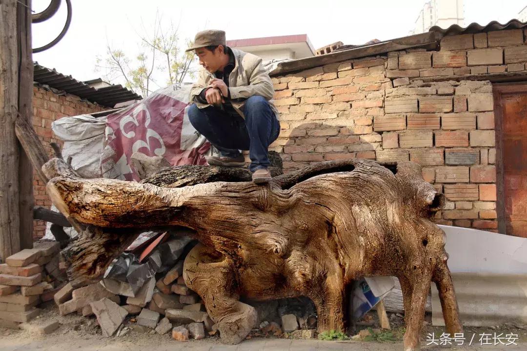 陕北男子遇车祸重伤白手起家做根雕月入3万