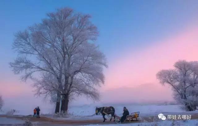 带娃冬天看雪最好的地方,冬季带孩子玩雪必备