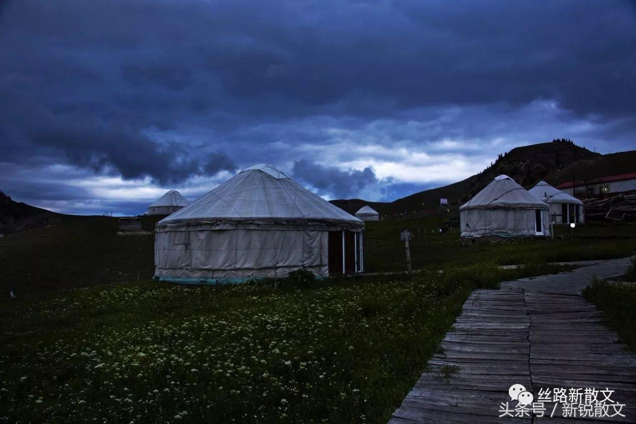 新疆散文的气质,关于赞美边疆建设者的散文