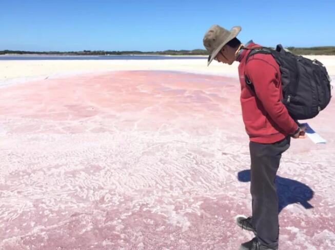 华人故事No.9｜远嫁澳洲，这里没有诗和远方