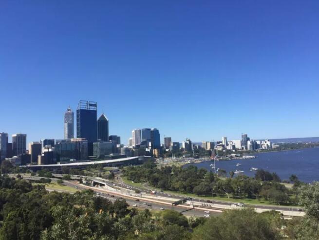 华人故事No.9｜远嫁澳洲，这里没有诗和远方