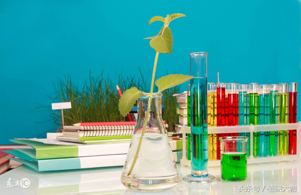 植物内吸性杀菌剂有哪些,柑橘内吸性杀菌剂有哪些