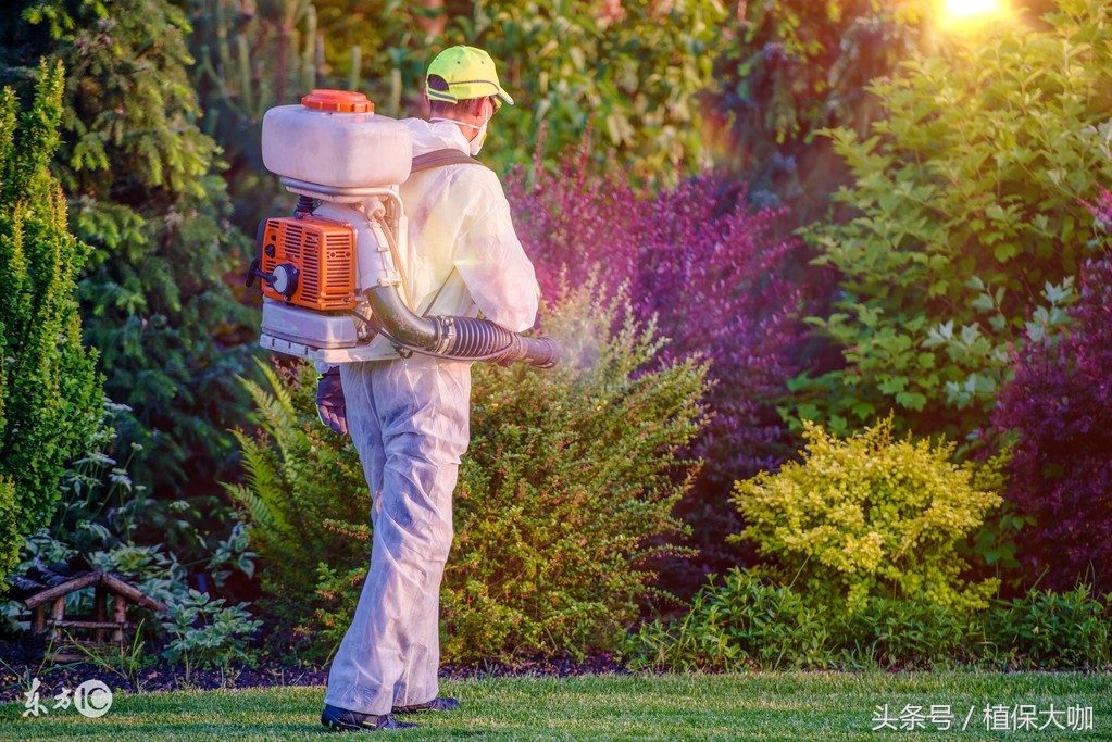 植物内吸性杀菌剂有哪些,柑橘内吸性杀菌剂有哪些