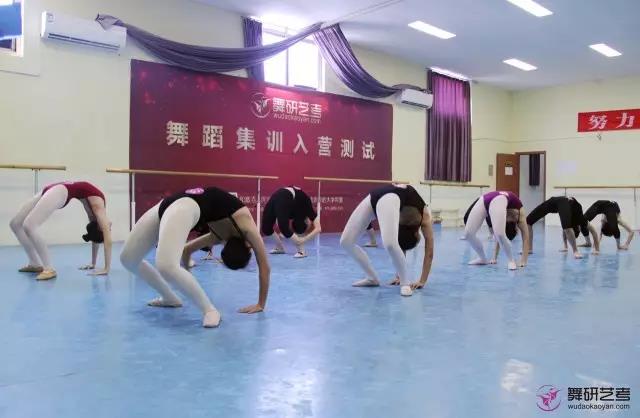 肩腰的软开度练习组合,软开度腰部训练教程