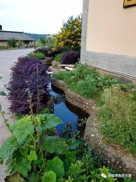 带孩子丽江自驾游,宝妈开着车带熊孩子兜风文案