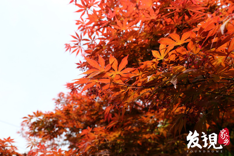 还没有爱上春江,那是因为你没来过这些地方