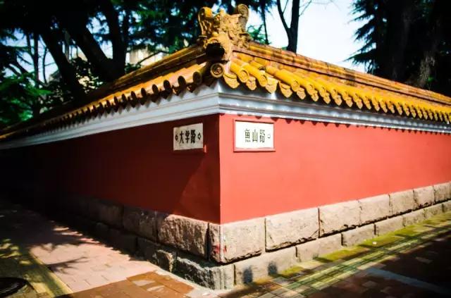 青岛冬天一日游最佳景点一览表,青岛的冬天有多浪漫